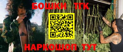 хмурый Аша